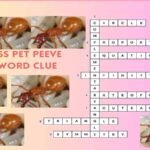 Wingless pet peeve crossword clue puzzle image featuring ant photos and a completed crossword grid.