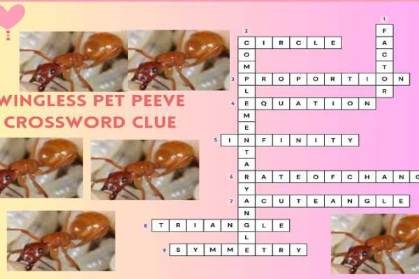 Wingless pet peeve crossword clue puzzle image featuring ant photos and a completed crossword grid.