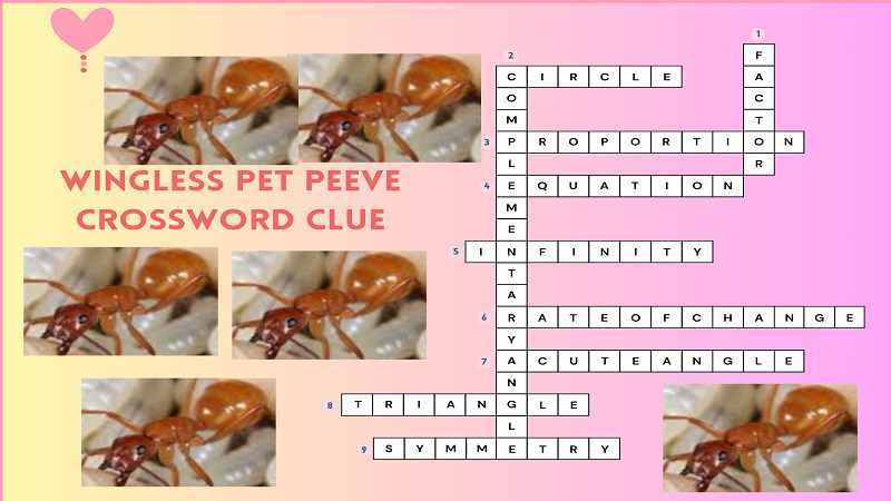 Wingless pet peeve crossword clue puzzle image featuring ant photos and a completed crossword grid.